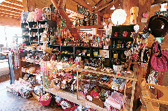 【熊野古道×ランチ】熊野川を眺めながらのんびりランチ「杜の郷みるりいな」