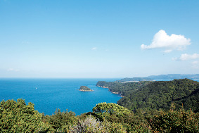 【友ヶ島の見どころ】タカノス山展望台