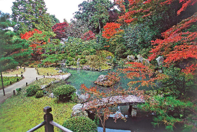 【青蓮院門跡のここが見どころ】相阿弥の庭