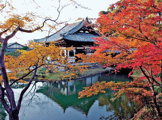 【高台寺ここが見どころ】臥龍池