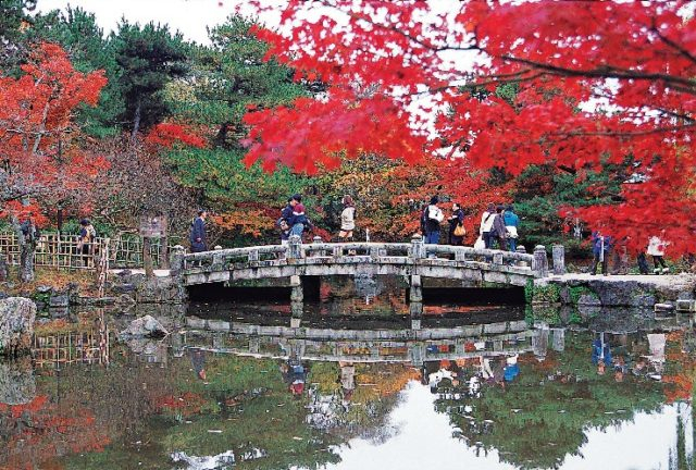 【ココにも立ち寄りたい】円山公園