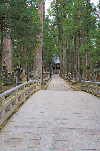 【高野山×三大スポット】奥之院