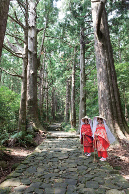 【和歌山観光 世界遺産モデルコース】13:00 大門坂