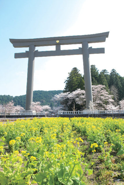 熊野本宮大社から徒歩5分!かつて熊野本宮大社があった熊野信仰発祥の地「大斎原」へ