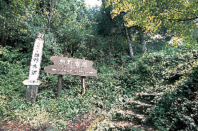 熊野古道 熊野三山