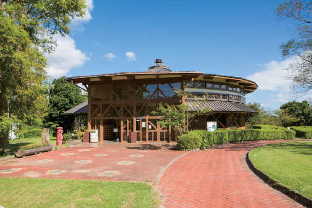 【白浜×ドライブ】四季折々の花に囲まれ海と街並みを見下ろす「平草原公園」