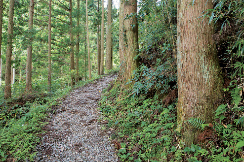 熊野三山と熊野古道