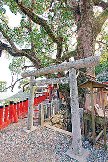 熊野那智大社の見どころを解説!森羅万象の根源に力を与える主神をお詣り