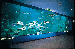 和歌山県立自然博物館