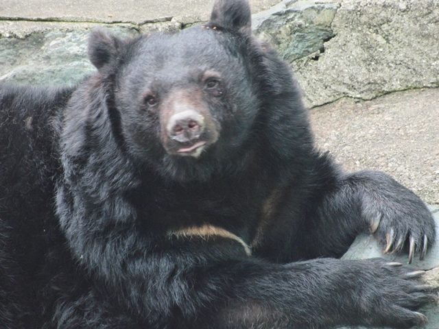 和歌山公園動物園