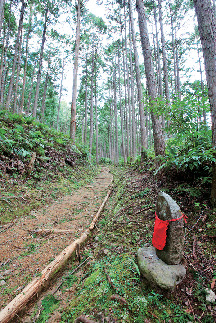 紀伊山地の霊場と参詣道