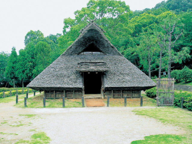 【和歌山×観光スポット】和歌山県立紀伊風土記の丘
