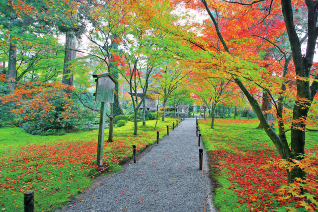 大原の紅葉おすすめスポット 三千院