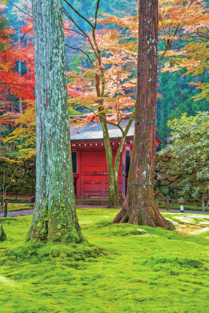 大原の紅葉おすすめスポット 三千院