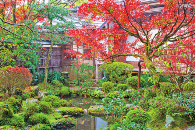大原の紅葉おすすめスポット 宝泉院