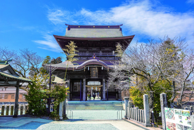 【阿蘇×絶景】阿蘇神社(旧官幣大社)