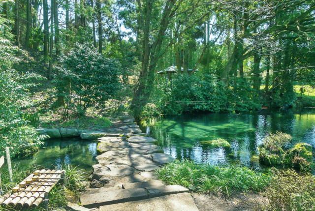 【阿蘇サイクリング×名水スポット2】日本庭園風の公園に湧く”誕生水”「明神池名水公園」