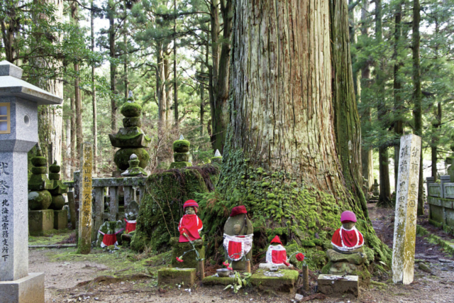 【高野山・奥之院参拝スポット②】樹齢数百年の杉木立「奥之院参道」