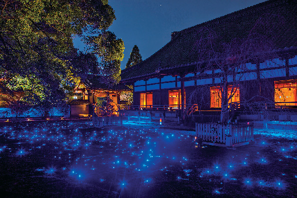 《庭園ライトアップ×紅葉》青蓮院門跡