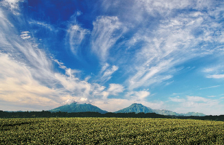 【阿蘇×絶景】草千里ヶ浜