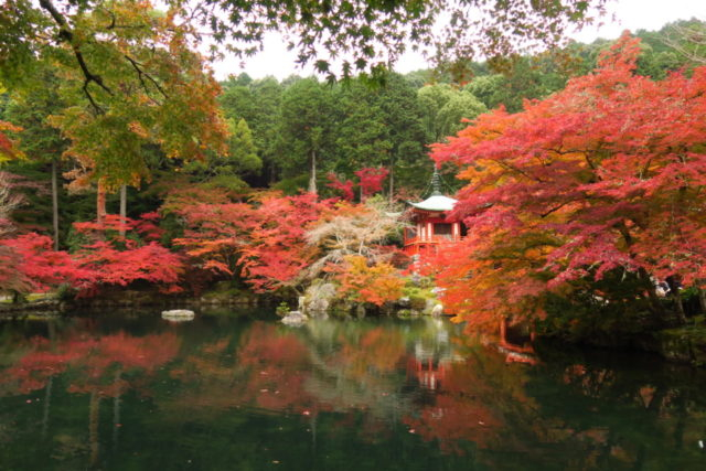 醍醐寺・隨心院・勧修寺エリアの紅葉おすすめスポット 醍醐寺