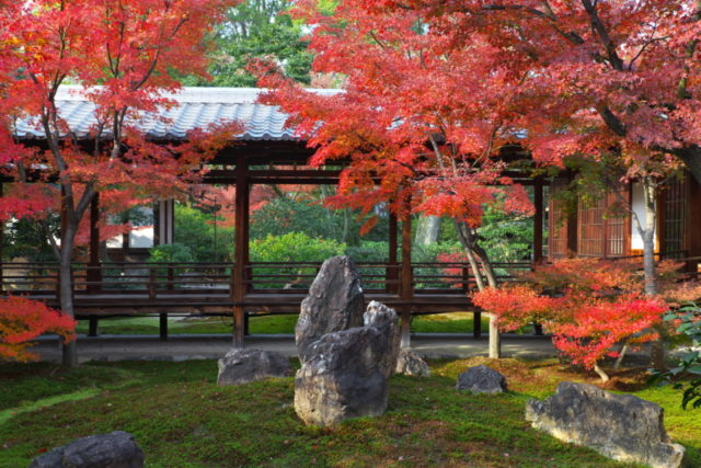 清水寺周辺と周辺の紅葉おすすめ社寺7選 紅葉めぐりモデルコースもご紹介♪ - まっぷるトラベルガイド