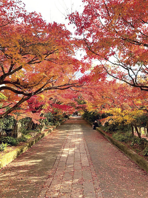 モデルプラン② 龍福寺