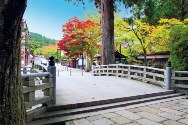 【高野山・奥之院参拝スポット①】正式な参拝はここから「一の橋」