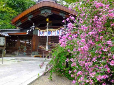 京都 紅葉の極上もみじ 梨木神社