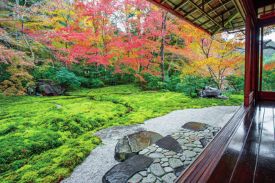 京都 紅葉の極上もみじ 瑠璃光院