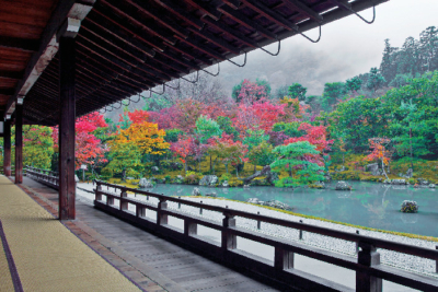 京都 紅葉の極上もみじ 天龍寺