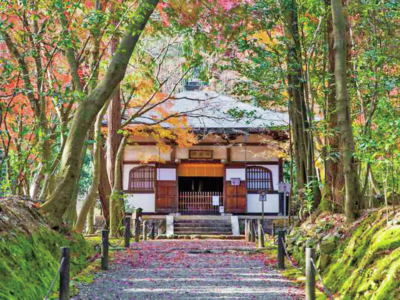 京都 紅葉の極上もみじ 地蔵院