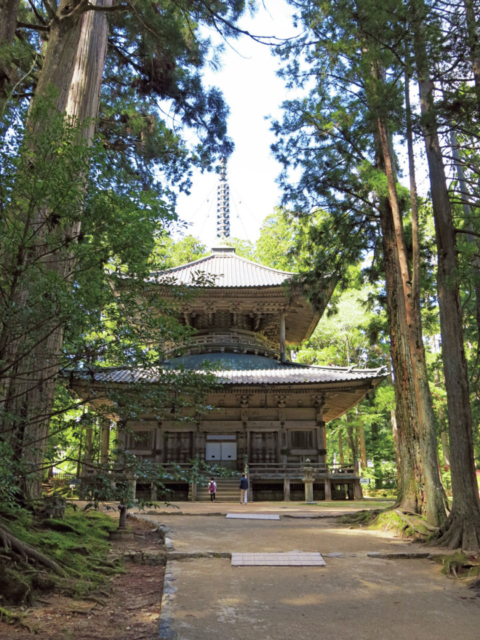 壇上伽藍の見どころ解説 ⑤ 西塔
