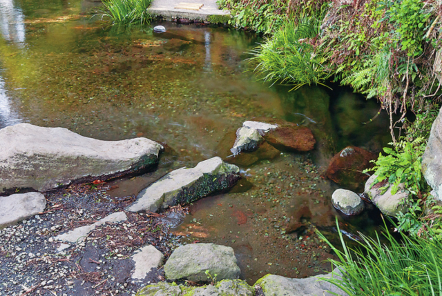 【阿蘇サイクリング×名水スポット4】清水にゆらゆら揺れる水草が美しい「竹崎水源」