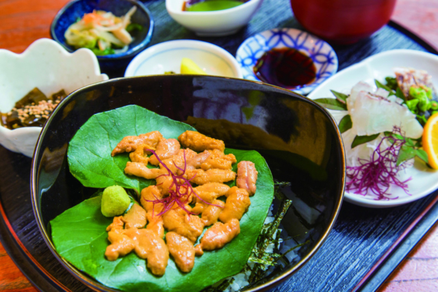 潮の香りが食欲をそそる濃厚で甘いとれたてウニ「天草海鮮蔵」