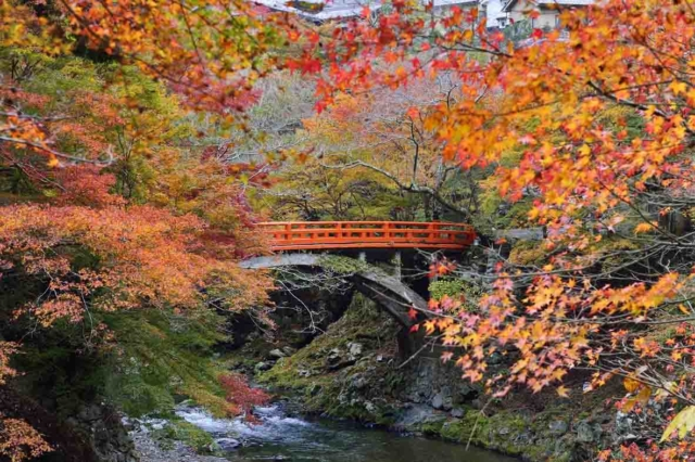 高雄の紅葉おすすめスポット 西明寺