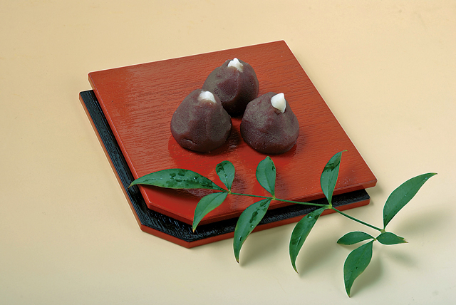 【滋賀のお土産×おいしいお土産】うばがもちや本店