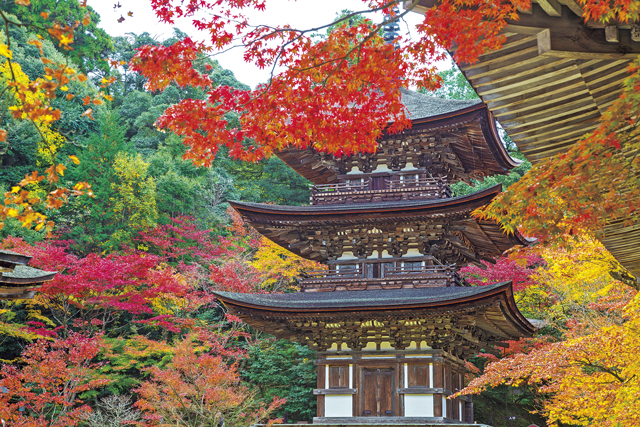 永源寺&湖東三山の紅葉情報!周辺のおすすめランチ&みやげスポットもご紹介