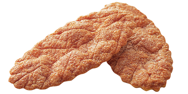 【近江八幡観光モデルコース】4.近江八幡日牟禮ヴィレッジ(たねや 日牟禮乃舍・クラブハリエ 日牟禮館)