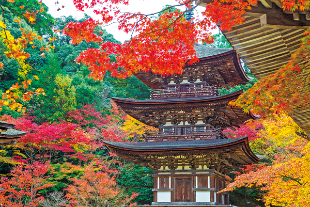 【湖東三山&永源寺で紅葉狩り】西明寺(池寺)