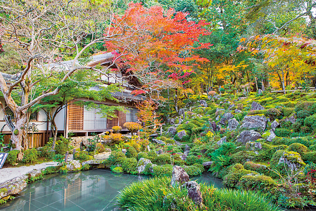 【湖東三山&永源寺で紅葉狩り】西明寺(池寺)