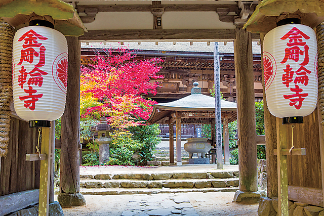 【湖東三山&永源寺で紅葉狩り】金剛輪寺