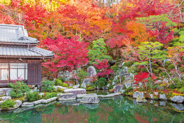 【湖東三山&永源寺で紅葉狩り】国史跡 百済寺