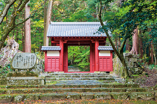 【湖東三山&永源寺で紅葉狩り】国史跡 百済寺