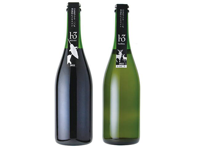 【紅葉狩りの立ち寄りスポット】ヒトミワイナリー・日登美美術館