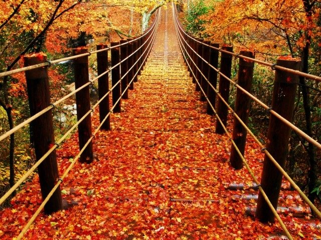 花貫渓谷(茨城県)