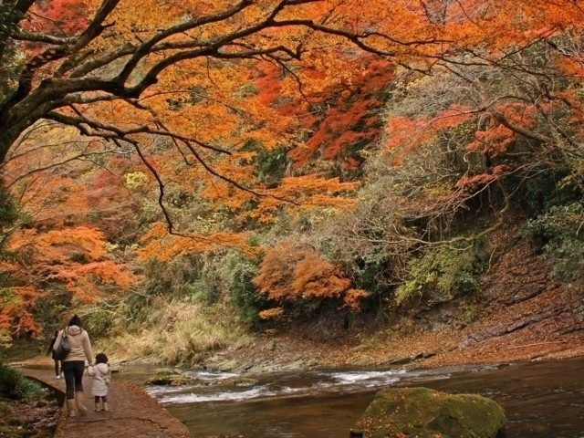 養老渓谷(千葉県)