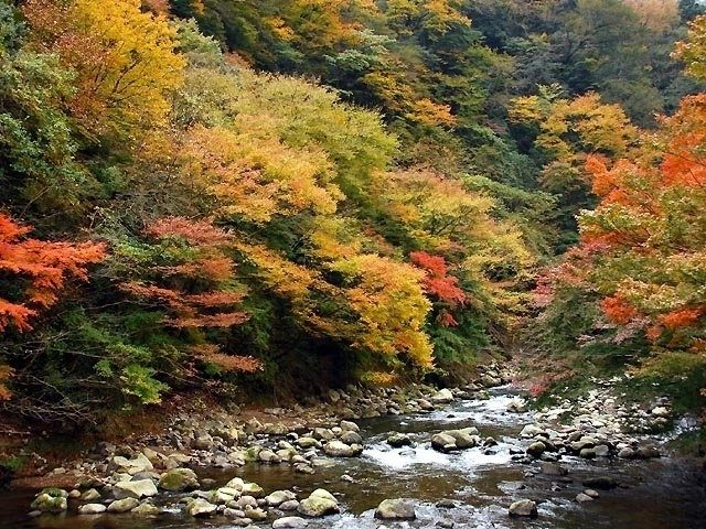 箱根湯本(神奈川県)