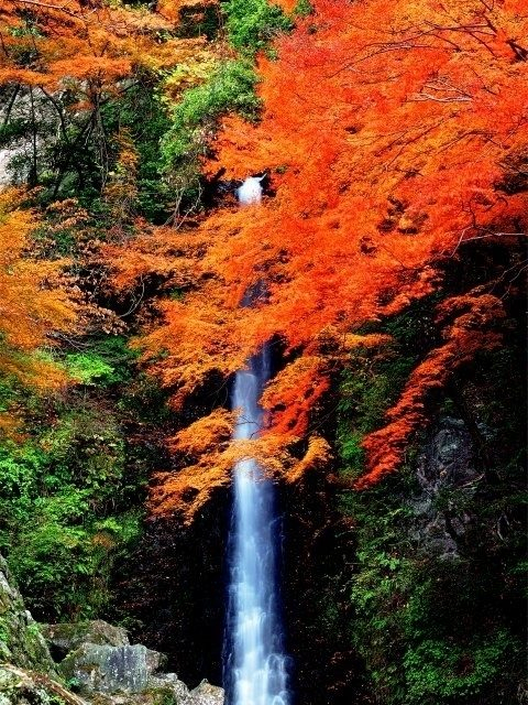 養老公園(岐阜県)