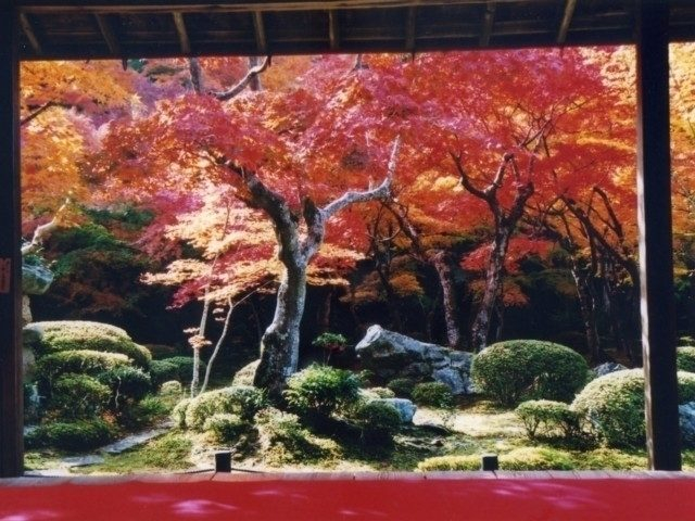 《額縁庭園×紅葉》圓光寺
